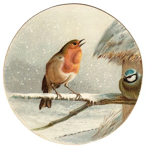 Robin and blue tit on a circular Christmas card