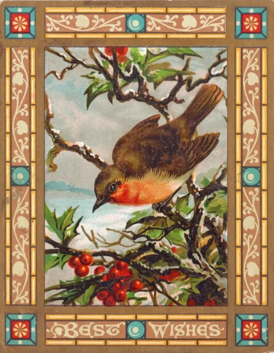 Framed Print : Robin on a Christmas card Framed Print : Robin on a Christmas card