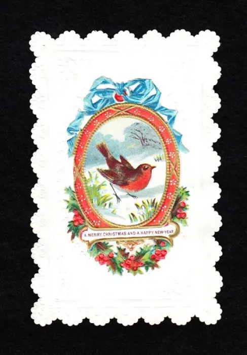 Framed Print : Robin on a Christmas and New Year card Framed Print : Robin on a Christmas and New Year card