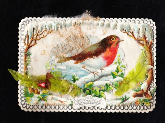 Framed Print : Robin on a Christmas and New Year card Framed Print : Robin on a Christmas and New Year card