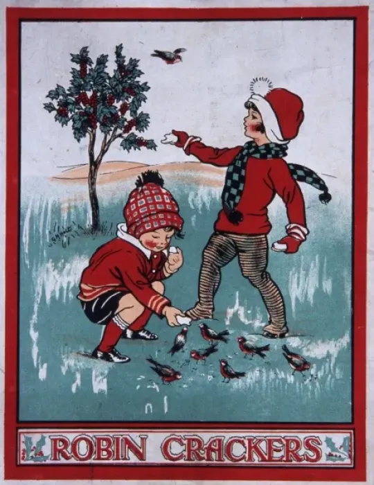 Framed Print : Robin crackers Framed Print : Robin crackers