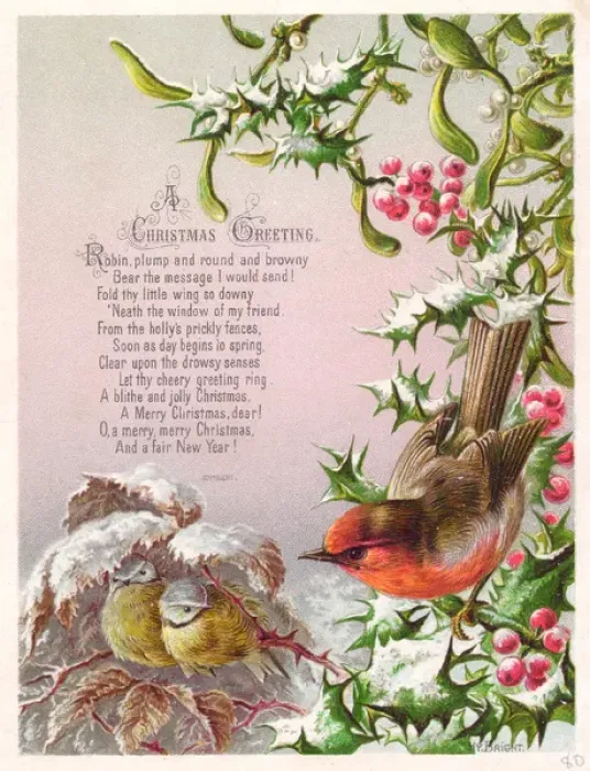 Framed Print : Robin and two great tits on a Christmas card Framed Print : Robin and two great tits on a Christmas card