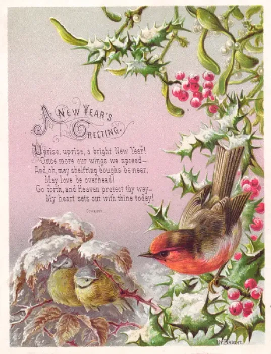 Framed Print : Robin and two great tits on a New Year card Framed Print : Robin and two great tits on a New Year card