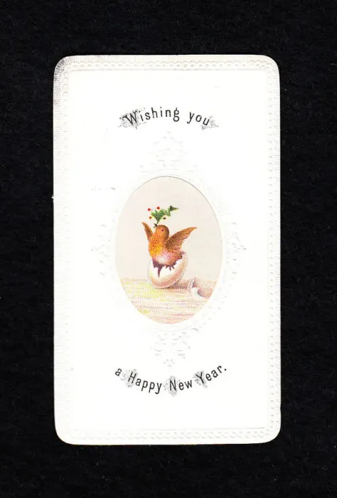 Framed Print : Robin hatching from egg on a New Year card