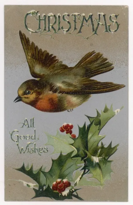 Framed Print : Robin and Holly Framed Print : Robin and Holly