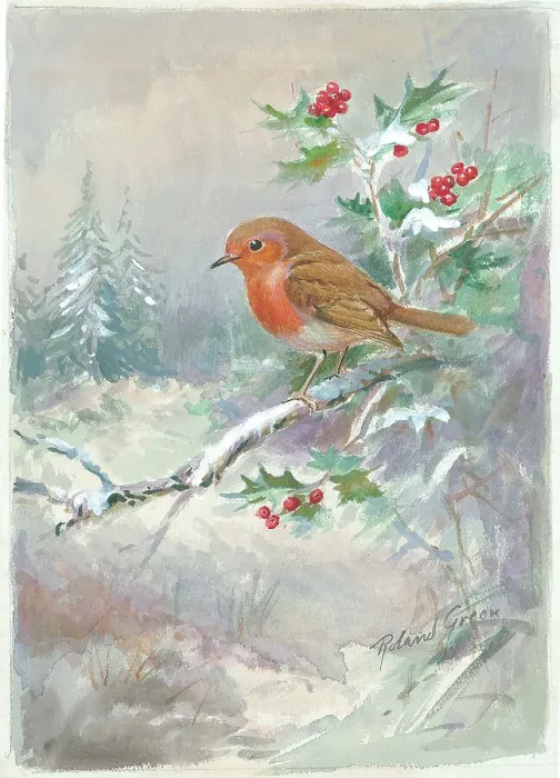 Framed Print : Robin on a holly branch, snow Framed Print : Robin on a holly branch, snow