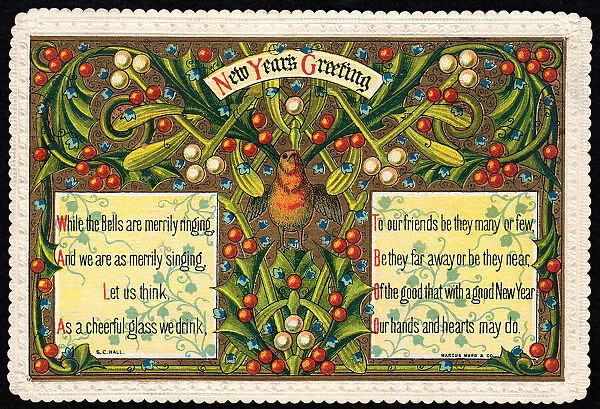 Robin, holly and mistletoe on a New Year card