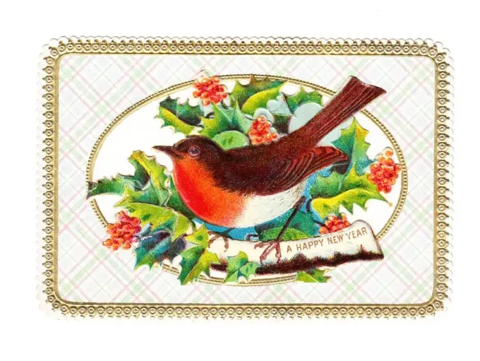 Framed Print : Robin with holly on a New Year card Framed Print : Robin with holly on a New Year card