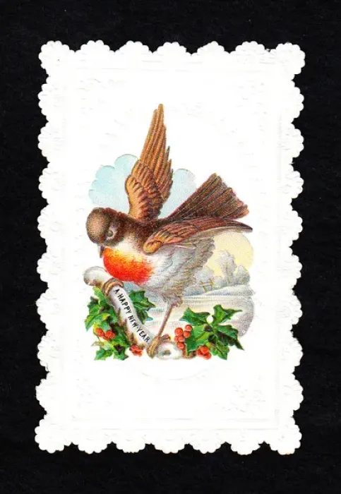 Framed Print : Robin with holly on a New Year card Framed Print : Robin with holly on a New Year card