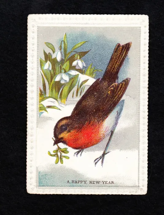 Framed Print : Robin with mistletoe and snowdrops on a New Year card Framed Print : Robin with mistletoe and snowdrops on a New Year card