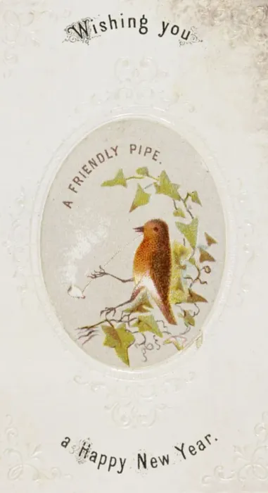 Framed Print : Robin with a Pipe Framed Print : Robin with a Pipe