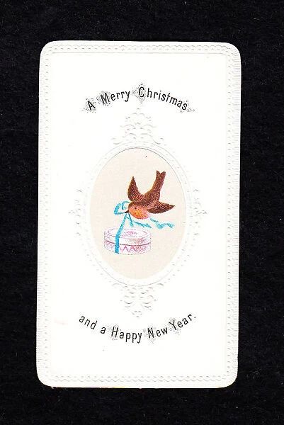 Robin with present on a Christmas and New Year card