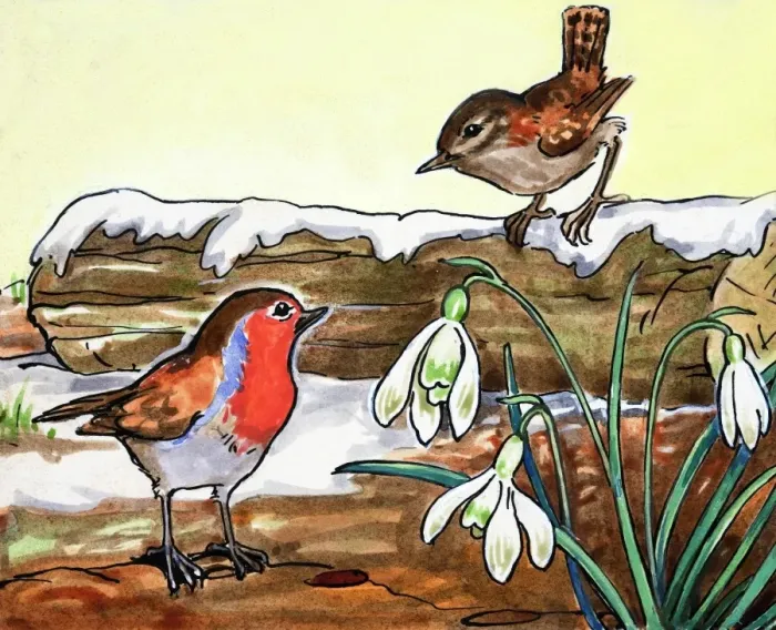 Framed Print : Robin Redbreast and Jenny Wren Framed Print : Robin Redbreast and Jenny Wren