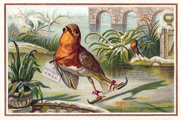 Robin skating on a Christmas card