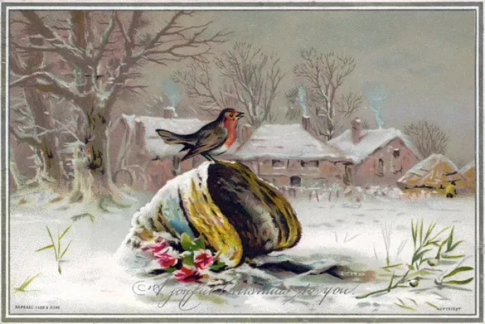 Framed Print : Robin in the snow on a Christmas card Framed Print : Robin in the snow on a Christmas card