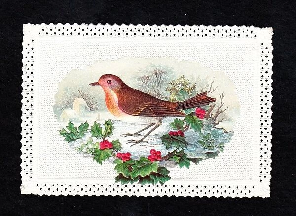 Robin in the snow with holly on a Christmas card