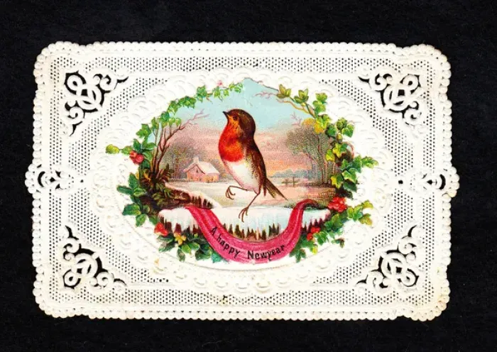 Framed Print : Robin in the snow on a New Year card Framed Print : Robin in the snow on a New Year card