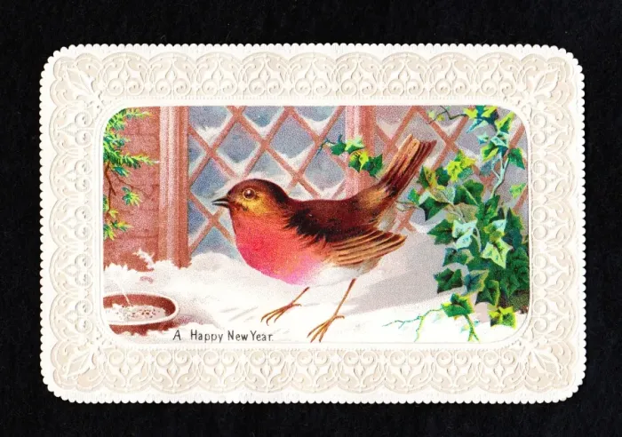 Framed Print : Robin in the snow on a New Year card Framed Print : Robin in the snow on a New Year card