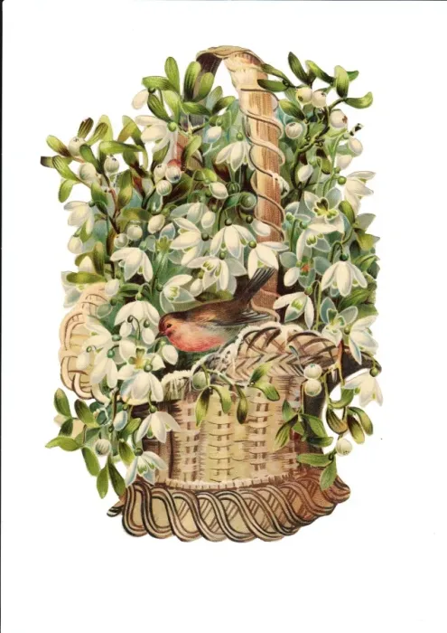 Framed Print : Robin with snowdrops on a Victorian Christmas scrap Framed Print : Robin with snowdrops on a Victorian Christmas scrap
