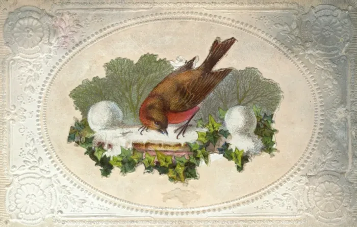 Framed Print : Robin on Wall Framed Print : Robin on Wall