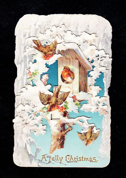 Robins and birdbox in the snow on a cutout Christmas card