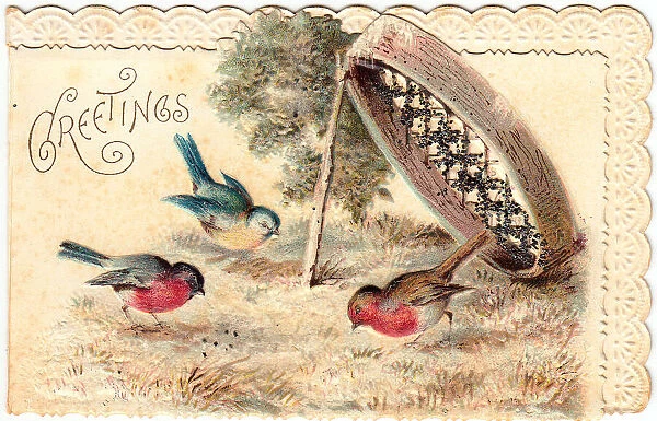 Two robins and a blue tit on a greetings card