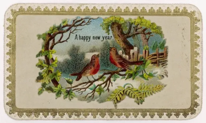 Framed Print : Robins on Bough Framed Print : Robins on Bough