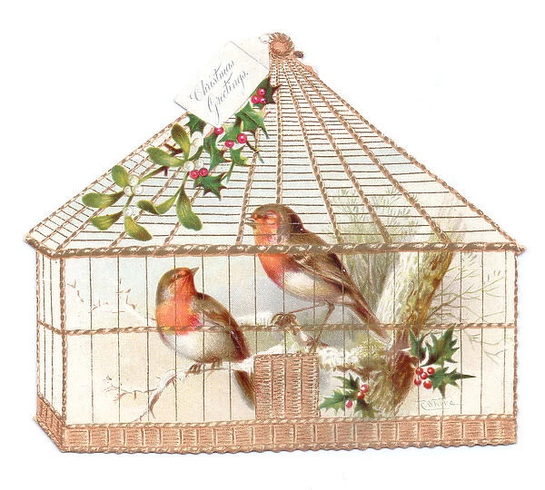 Robins in a cage on a cutout Christmas card