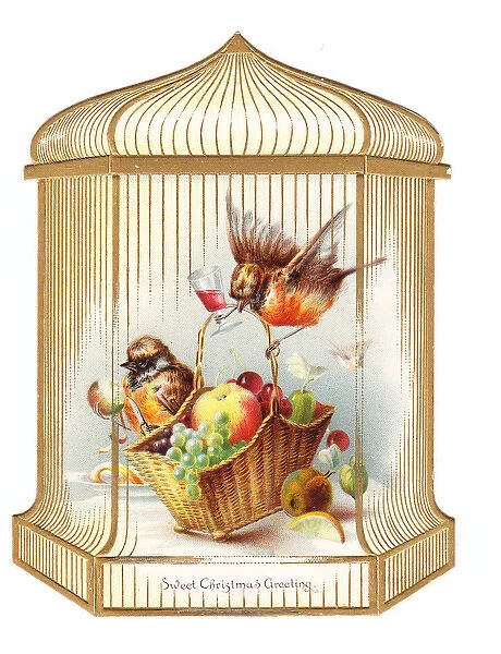 Robins in a cage on a cutout Christmas card