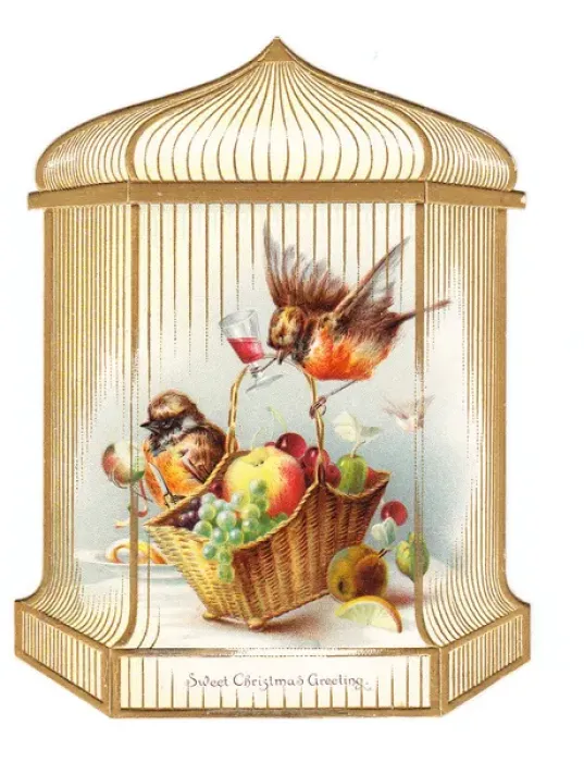 Framed Print : Robins in a cage on a cutout Christmas card Framed Print : Robins in a cage on a cutout Christmas card