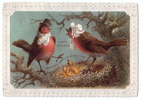 Robins and chicks on a Christmas and New Year card