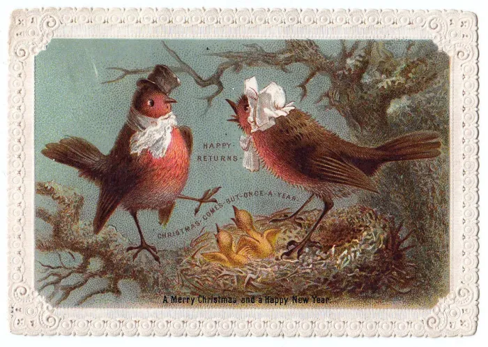 Framed Print : Robins and chicks on a Christmas and New Year card Framed Print : Robins and chicks on a Christmas and New Year card