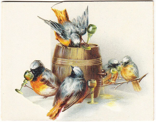 Five robins on a Christmas card