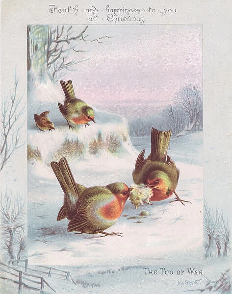 Robins on a Christmas card