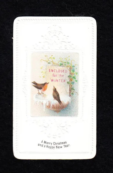 Framed Print : Two robins on a Christmas and New Year card Framed Print : Two robins on a Christmas and New Year card