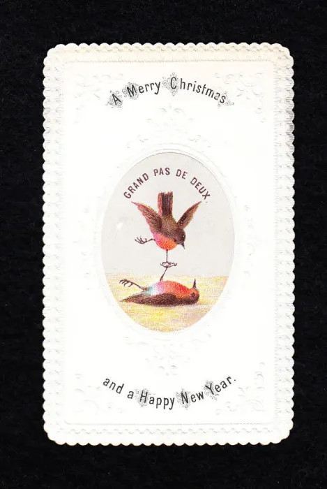 Framed Print : Two robins dancing on a Christmas and New Year card Framed Print : Two robins dancing on a Christmas and New Year card