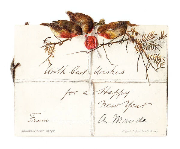 Robins and envelope on a New Year card