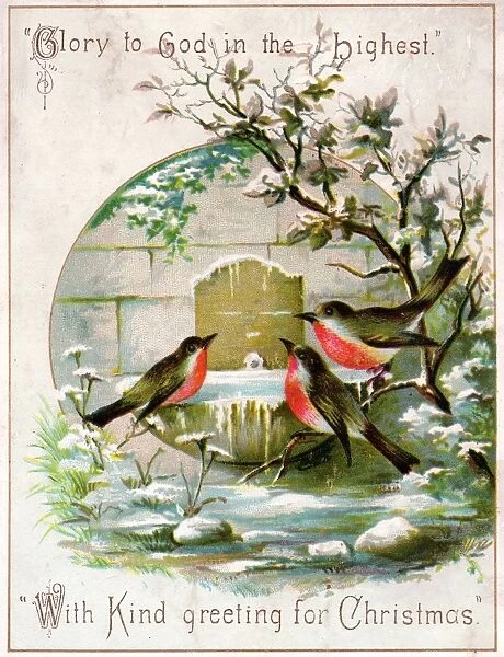 Three robins on frozen birdbath on a Christmas card