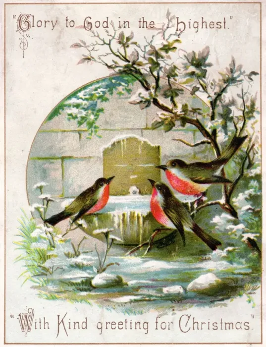 Framed Print : Three robins on frozen birdbath on a Christmas card Framed Print : Three robins on frozen birdbath on a Christmas card