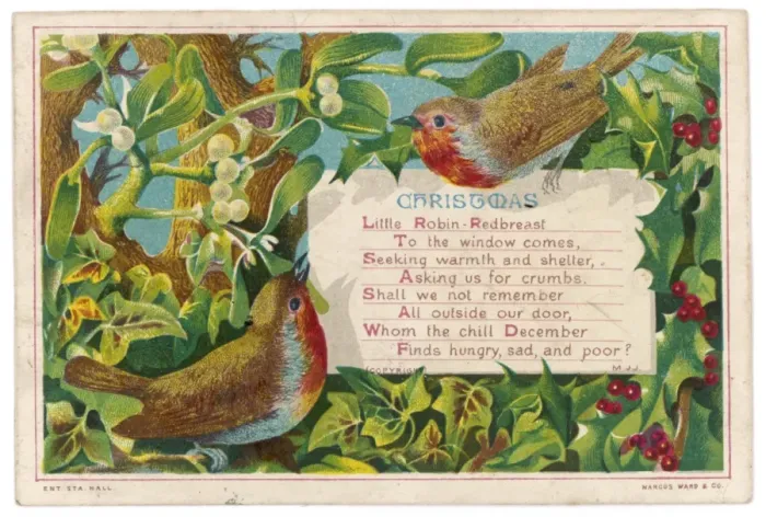 Framed Print : Robins and Holly Framed Print : Robins and Holly