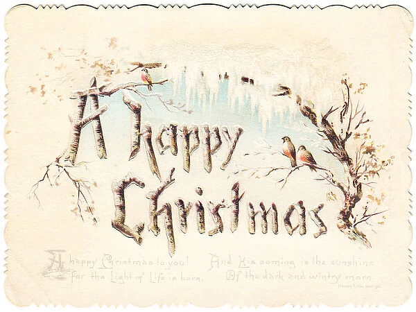 Robins in the ice and snow on a Christmas card