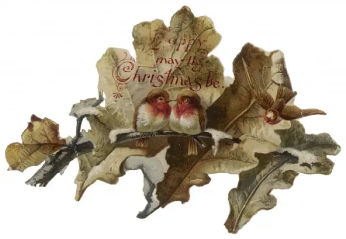 Framed Print : Robins and Leaves