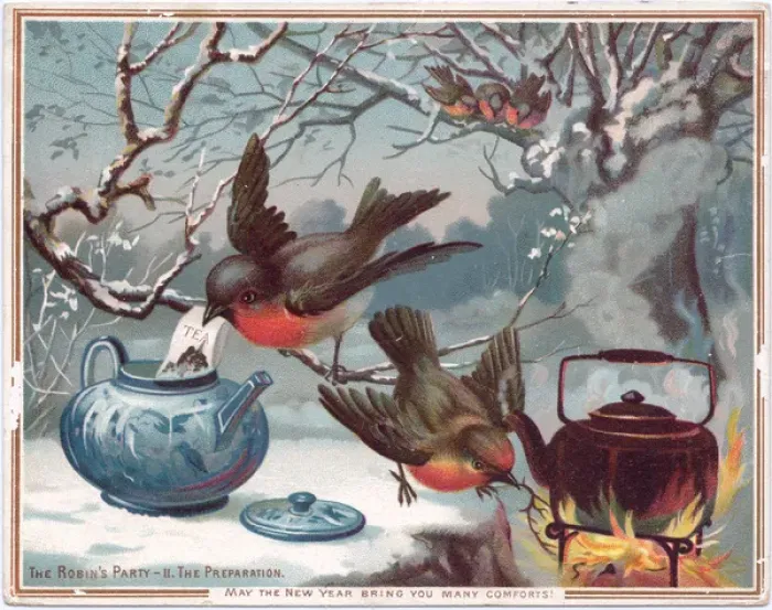 Framed Print : Robins on a New Year card Framed Print : Robins on a New Year card