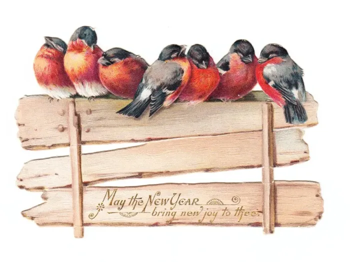Framed Print : Robins perched on a fence on a cutout New Year card Framed Print : Robins perched on a fence on a cutout New Year card