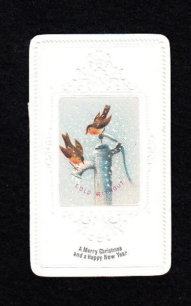 Two robins on pump on a Christmas and New Year card