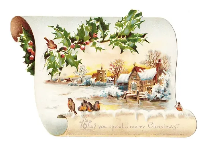 Framed Print : Robins on a scroll-shaped Christmas card Framed Print : Robins on a scroll-shaped Christmas card