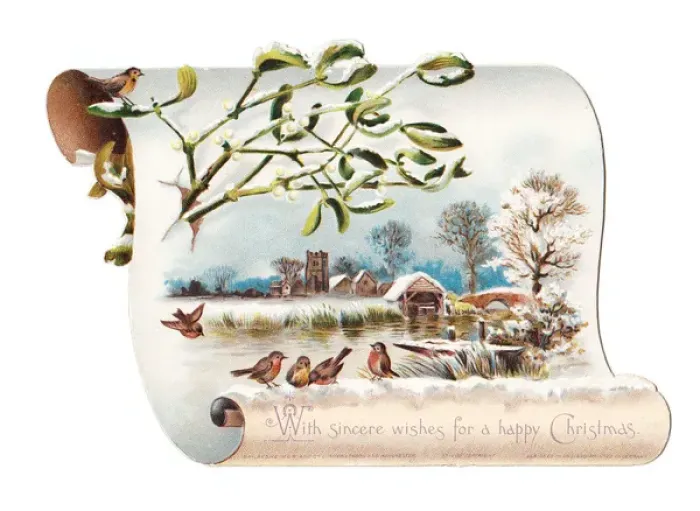 Framed Print : Robins on a scroll-shaped Christmas card Framed Print : Robins on a scroll-shaped Christmas card