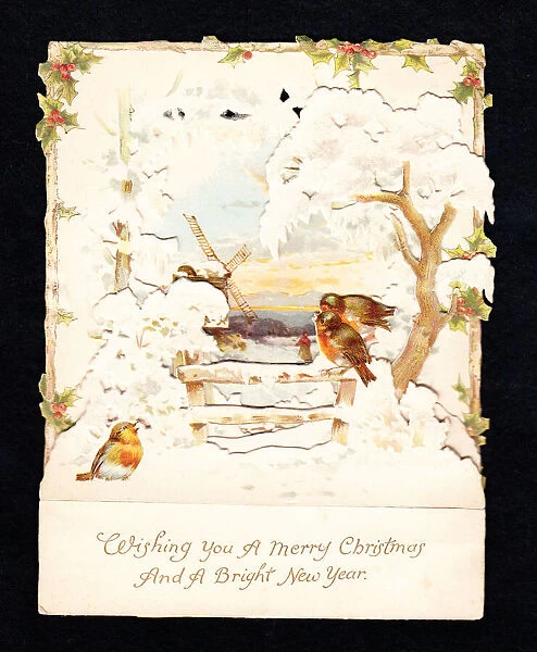 Robins in the snow on a Christmas and New Year card