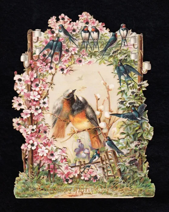 Framed Print : Robins and swallows on a cutout Christmas card Framed Print : Robins and swallows on a cutout Christmas card