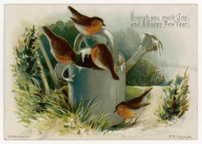 Framed Print : Robins & Watering Can Framed Print : Robins & Watering Can